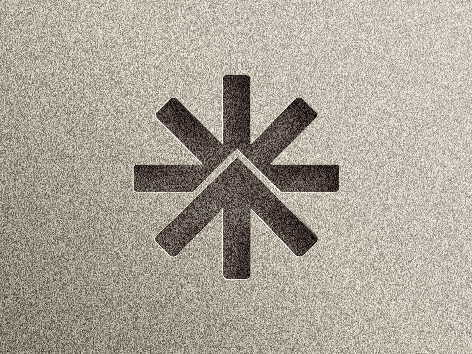 North Face Branding Project